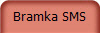 Bramka SMS